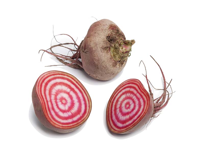 Artikelbild Bio Rübe Chioggia Raritäten 8646