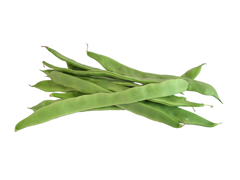 Artikelbild Bohne grün breit 87103