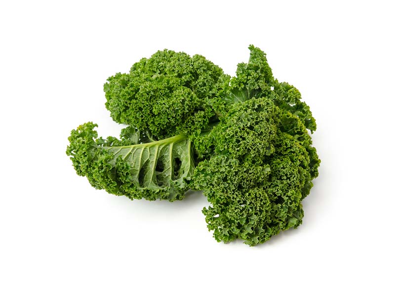 Artikelbild Bio Grünkohl 8730