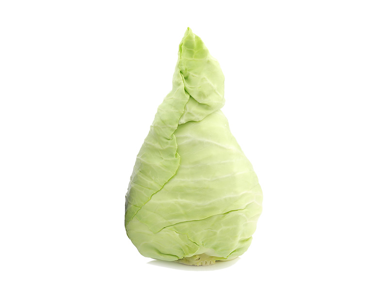 Artikelbild Bio Spitzkraut 8732