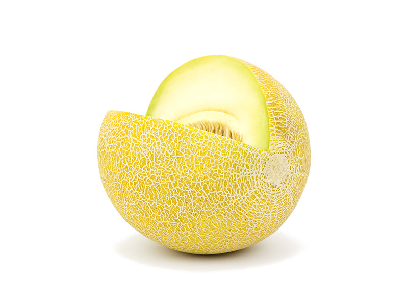 Artikelbild Bio Melone Galia 6er 8757