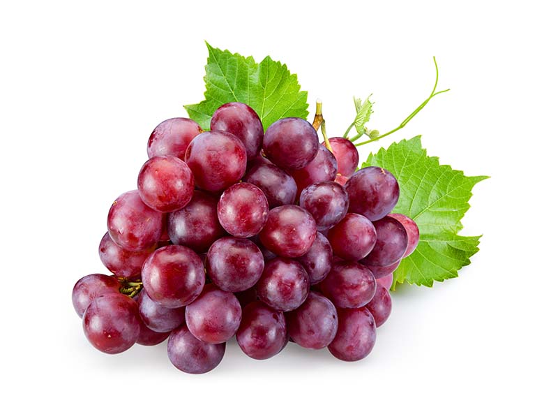 Artikelbild Bio Traube rot kernlos 8760