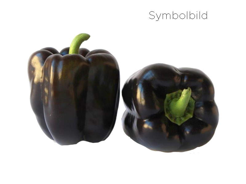 Artikelbild Bio Paprika-Raritäten Violeta 87808