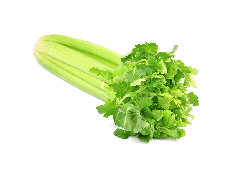 Artikelbild Bio Stangensellerie 8785