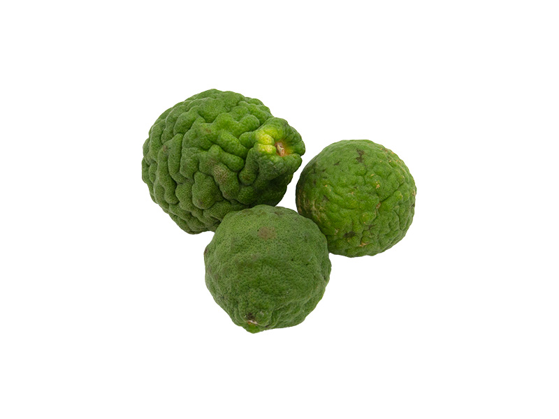 Artikelbild Kaffirlimette 90318