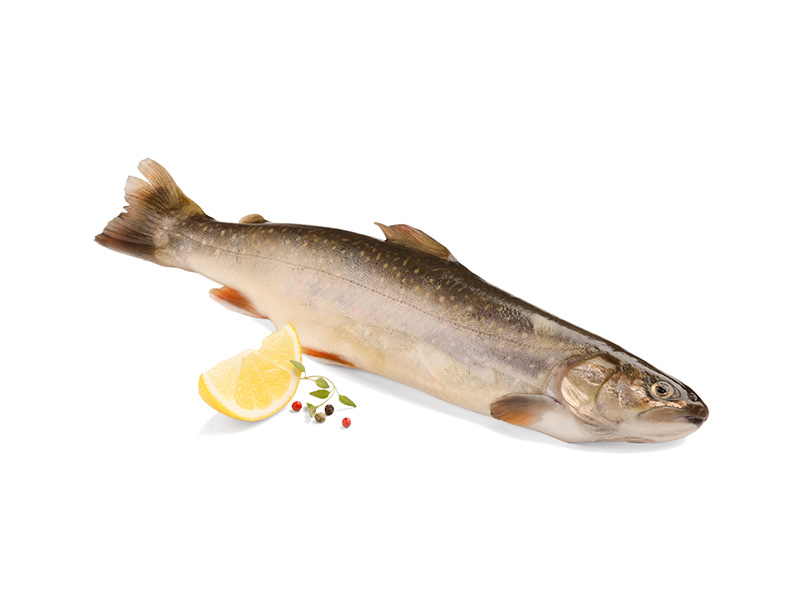 Artikelbild Bachsaibling ausgenommen 300/350 g 9036