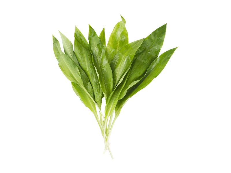 Artikelbild Bärlauch 9151