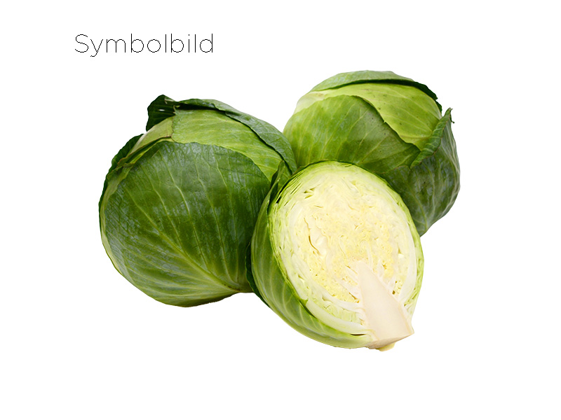 Artikelbild Bio Frühkraut rund 922