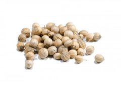 Artikelbild Koriander ganz großkörnig 6212