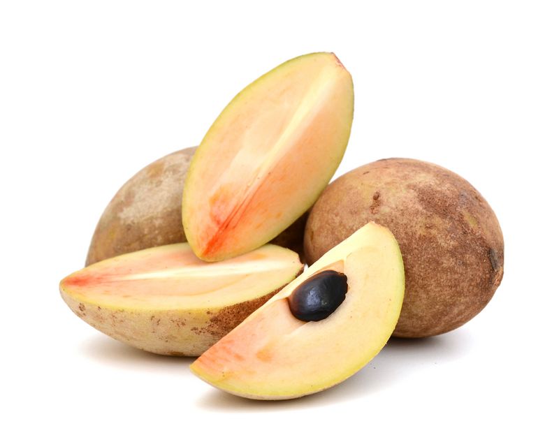 Artikelbild Sapodilla 55405