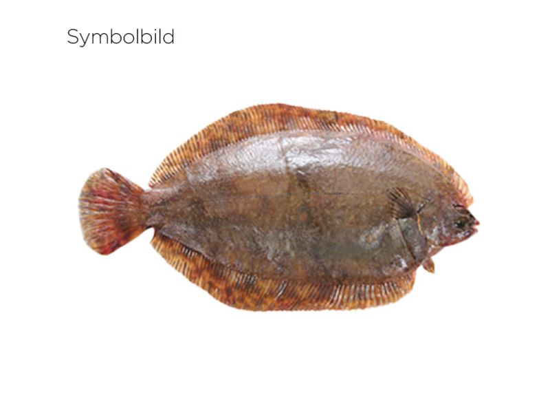 Artikelbild Rotzungenfilet o. Haut 80/120 g 2709
