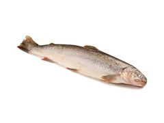 Artikelbild Seesaibling ausgenommen 1.5/3 kg 7586