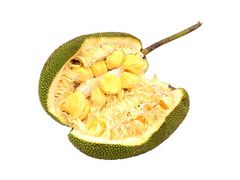 Artikelbild Jackfrucht 7152