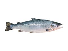 Artikelbild Lachs ausgenommen Label Rouge 4/5 kg 11192
