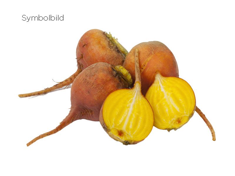 Artikelbild Bete-Mix gelb/rot/weiß 8563