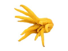 Artikelbild Buddhas Hand 2525