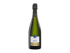 Artikelbild Champagner Terroir Premier Cru Extra Brut 4870