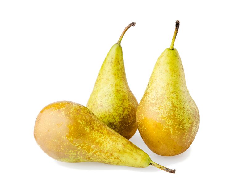 Artikelbild Birne Conference gelegt 7695