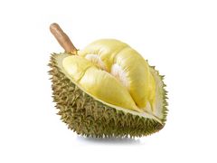 Artikelbild Durian 55421