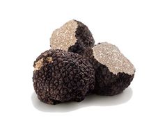 Artikelbild Sommertrüffel schwarz Tuber Aestivum 20 g+ 2536