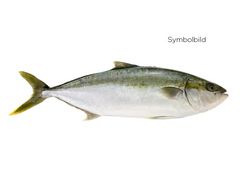 Artikelbild Gelbschwanzmakrelen-/Hamachi-Filet 1.2 kg 306304