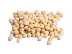 Artikelbild Senfkörner goldgelb ganz 6507