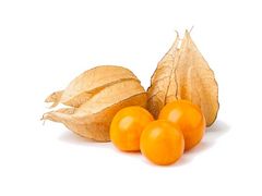 Artikelbild Physalis 1050