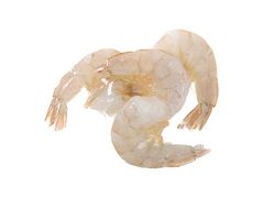 Artikelbild White Tiger o. Schale/Darm 13/15 p. LB 302024