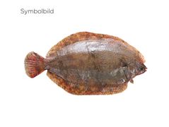 Artikelbild Rotzungenfilet o. Haut 120 g+ 2706