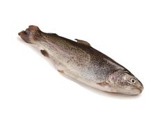 Artikelbild Lachsforelle ausgenommen 500/1000 g 4217