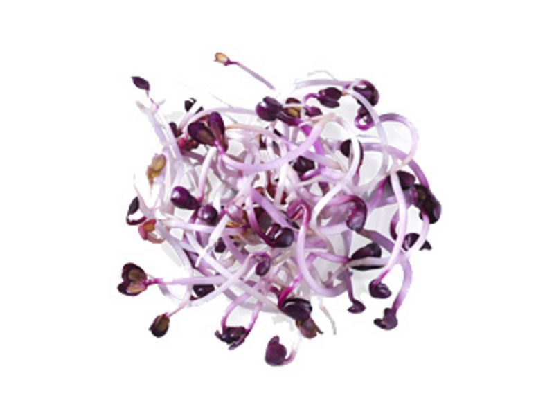 Artikelbild Bio Wasabisprossen 788