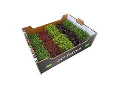 Artikelbild Bio Kresse-Mix Fine Selection Profarms 1513