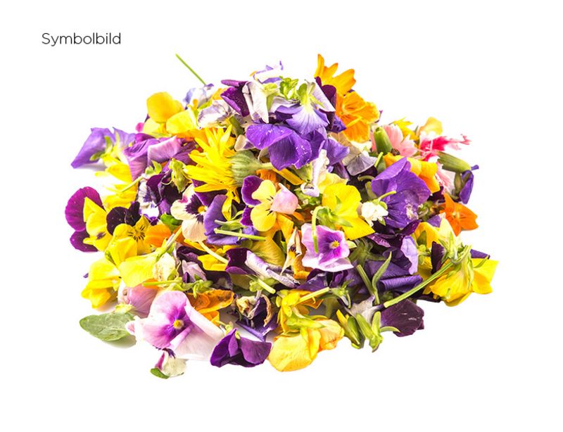 Artikelbild Blütenmix 85545