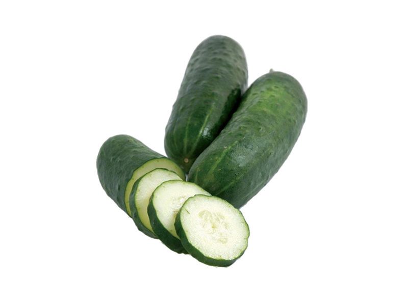 Artikelbild Bio Landgurke 8643